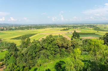 landscape of rice field at Fang countryside in Thailand