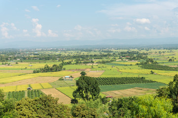 landscape of rice field at Fang countryside in Thailand