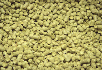 Malt background. Ingredient for beer.