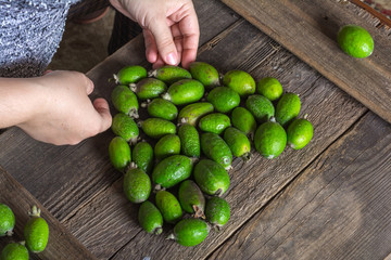 Feijoa fruit

