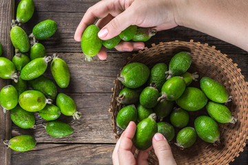 Feijoa fruit
