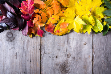 Naklejka na ściany i meble Abstract background of colourful autumn leaves
