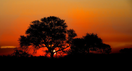 Fototapeta na wymiar Sunset in South Africa