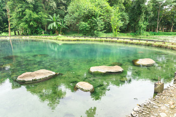 Peaceful natural hot spring in forest at Huay Mak Liam hot spring,Chiang Rai Thailand