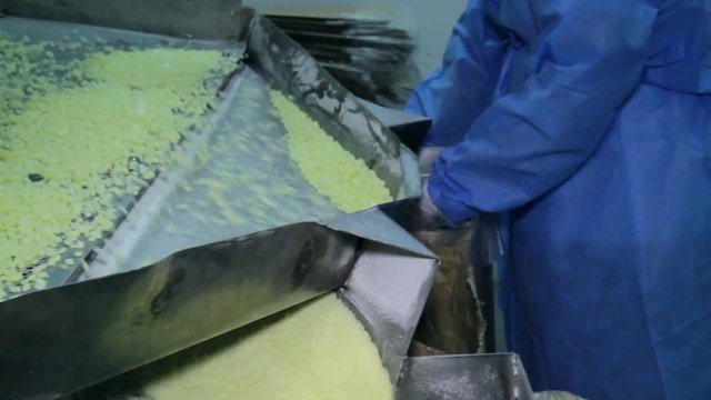 Casein. Casein production. Dairy factory. 