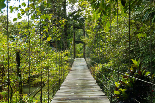 Bridge to the jungle,KhaoLak - Lumru national park