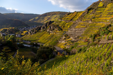 Rotweinwanderweg, Ahrtal, Rheinland-Pfalz