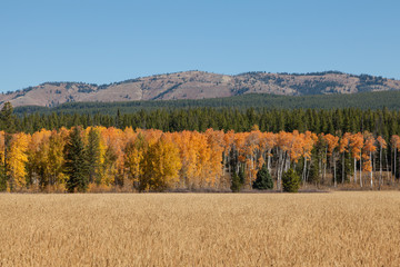 Wyoming Mountain Landscape in Fall