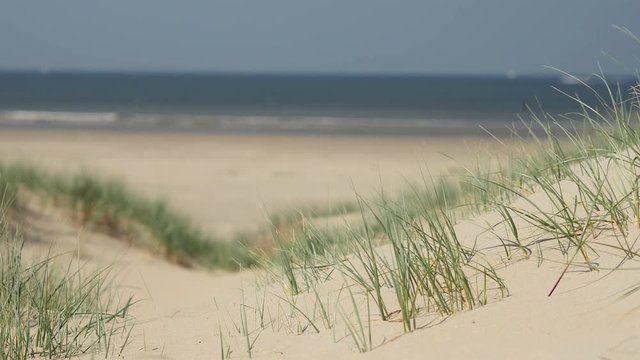Unspoiled, clean and empty beach and dunes with helm grass with sea in the background.