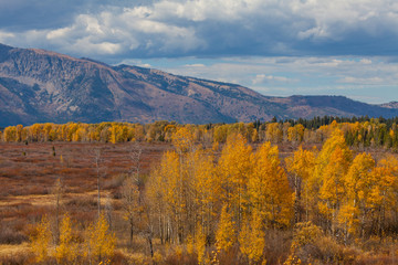 Wyoming Mountain Landscape in Fall