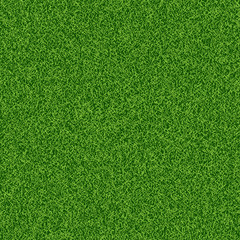 Naklejka premium Zielona trawa seampess tekstury - tło lato