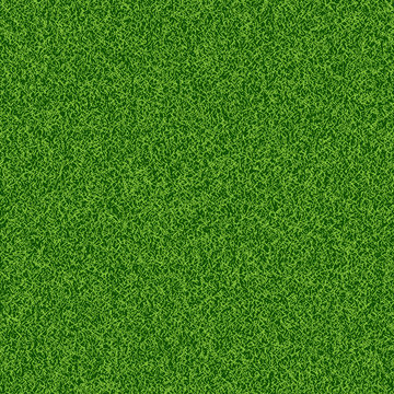 Green grass seampess texture - summer background