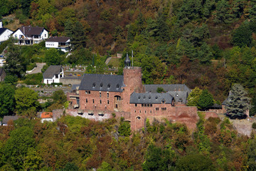 Fototapeta na wymiar Burg Niedeggen