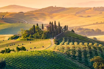 Fototapeten Toskana, Italien. Landschaft © ronnybas