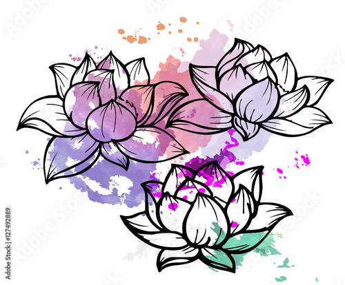 Лилия Вектор