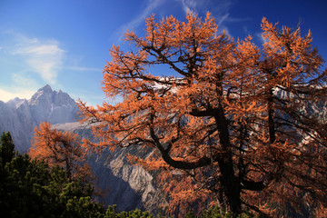 Fototapeta premium Trekking in Slovenia