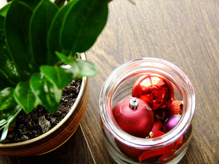 Zamioculcas and Jar with Baubles