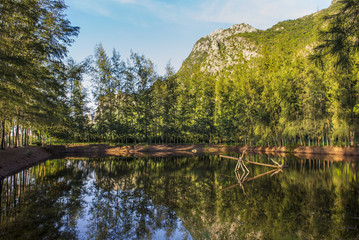 Fototapeta na wymiar Trees reflecting upon the water along the calm river edge.