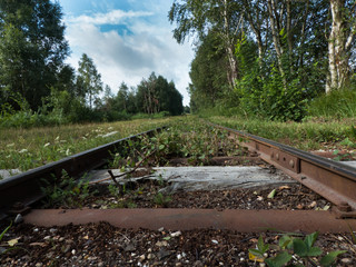 Gleise einer Torfbahn im Hochmoor