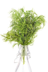 Fresh dill  in bottle isolated on white background