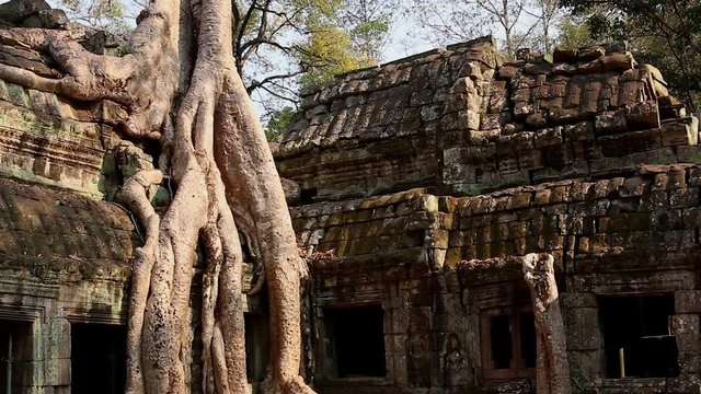 Cambodia Angkor Wat Ta Prohm temple Tomb Raider tree roots ruins
