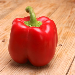 Rote Paprika
