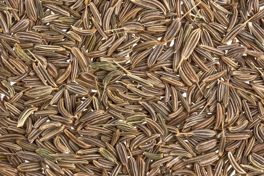 Cumin seeds or caraway texture