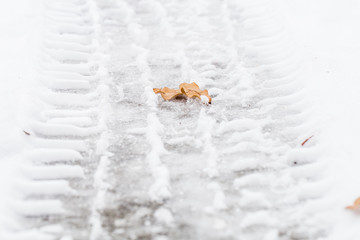 Autumn leaf on snow, the tire tracks.