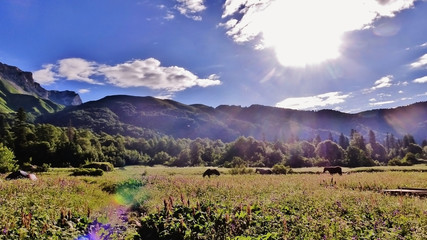 Amazing Caucasus mountains.