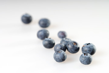 Heidelbeere / viele Heidelbeeren