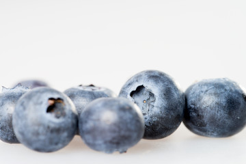 Heidelbeere / viele Heidelbeeren