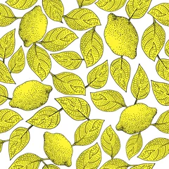  Naadloos vectorpatroon met citroenbladeren © lubovchipurko