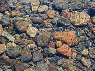 Creek Bed