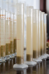 Test tubes with soil and water solution