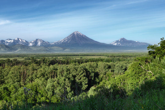 Kamchatka Peninsula summer landscape: beautiful view of Avachinsky-Koryaksky Group of Volcanoes, green forest and blue sky on sunny day. Kamchatka Region, Russian Far East, Eurasia.