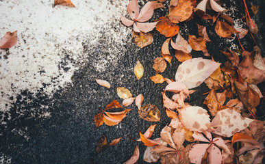 View from above on autumn leaves lying on stone surface.