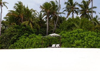 Playa de arena blanca en Islas Maldivas, Océano indico
