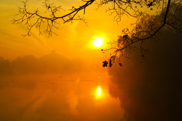 Naklejka na ściany i meble Foggy morning over the lake, fall trees reflected in water