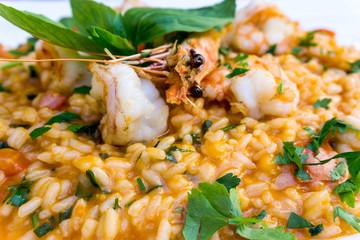 Tasty risotto with Shrimp, fresh herbs vegetables on a white pla