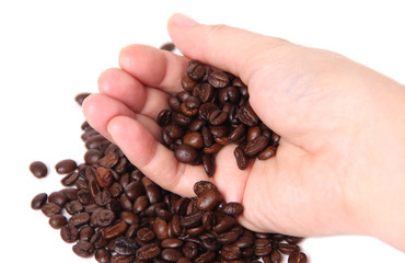 Coffee beans in hand