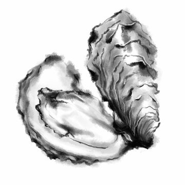 牡蠣/水墨画