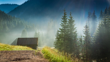 Fototapeta premium Oszałamiający wschód słońca w Dolinie Chochołowskiej, Tatry w Polsce