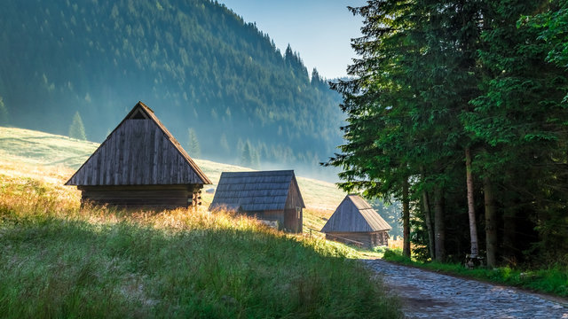 Fototapeta Wonderful sunrise in Valley Chocholowska, Tatra Mountains in Poland