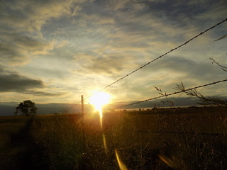 Barbed Wire Fence Sunset