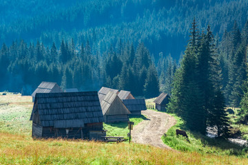 Obraz premium Mountain trail between cottages in Tatra Mountains, Poland