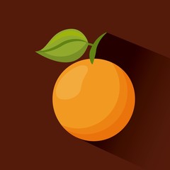 orange fruit icon over brown background. vector illustration