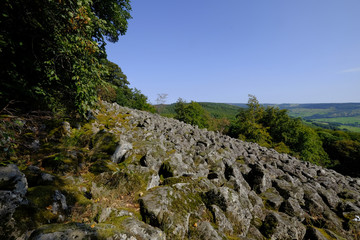 Blockschutthalde am Schafstein, Biosphärenreservat Rhön, Hessen, Deutschland