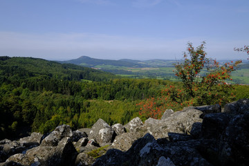 Blockschutthalde am Schafstein, Biosphärenreservat Rhön, Hessen, Deutschland