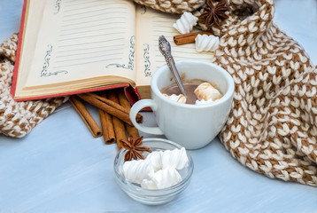 Still life cup of cocoa with marshmallow and star anise,cinnamon