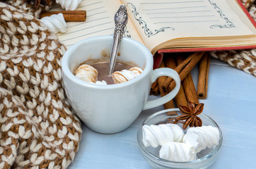Still life cup of cocoa with marshmallow and star anise,cinnamon